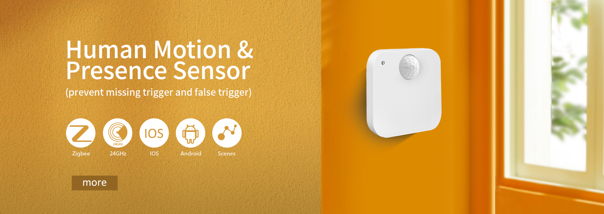 Human Motion & Presence Sensor